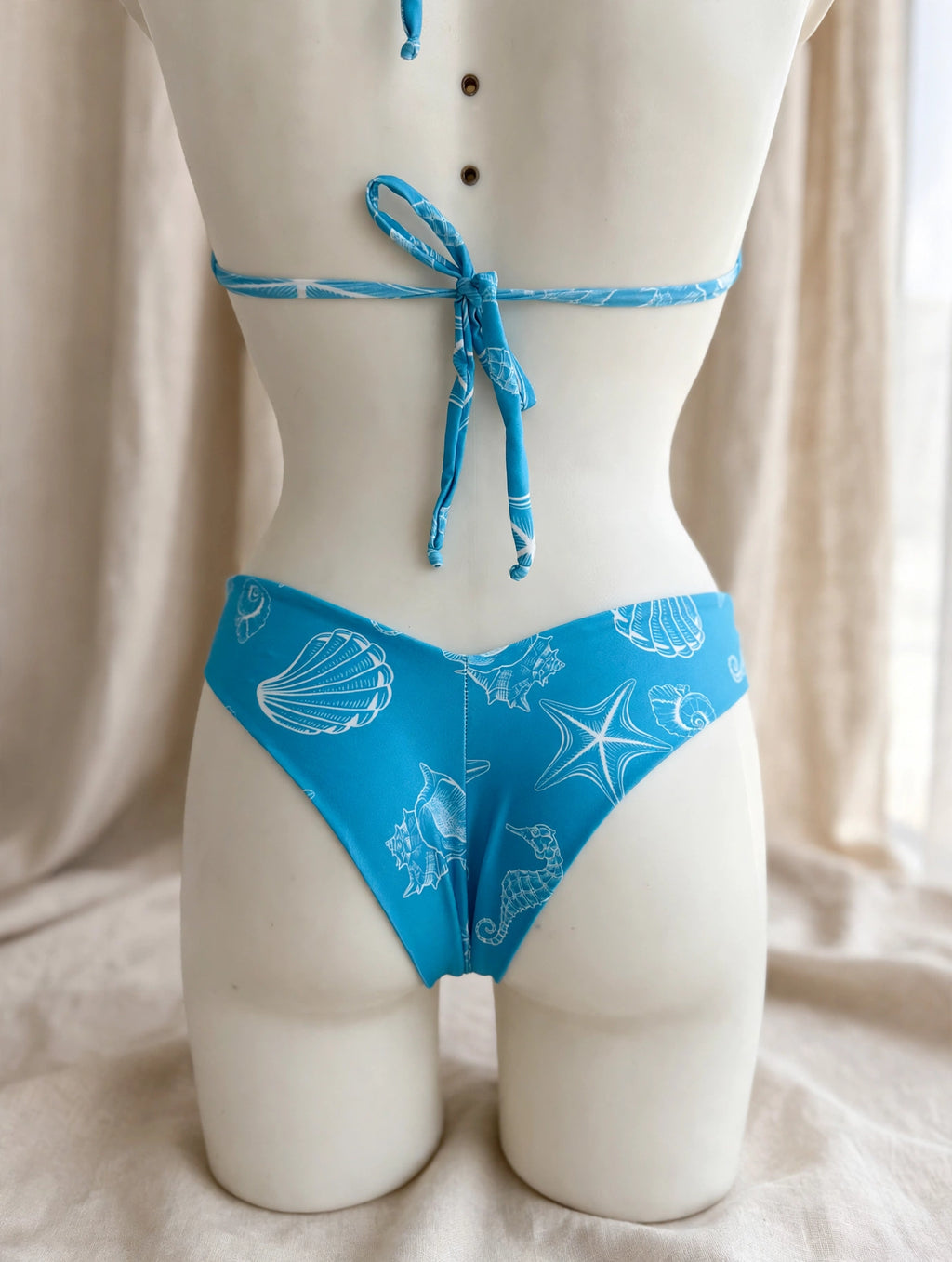 BLUE SHELLS — Braguita Brasileña