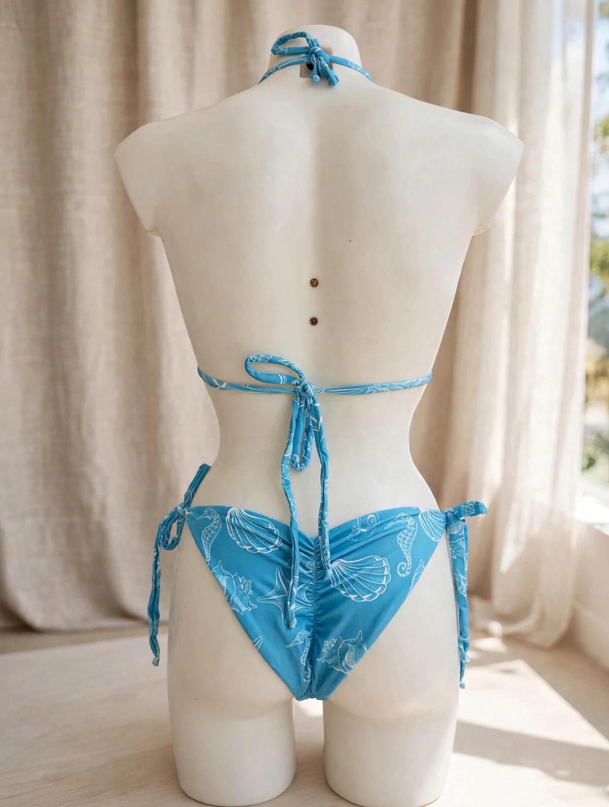 BLUE SHELLS — Braguita Crunch